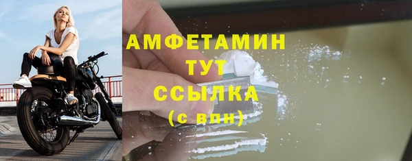 тгк Ивангород