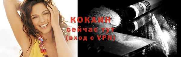 не бодяженный Михайлов